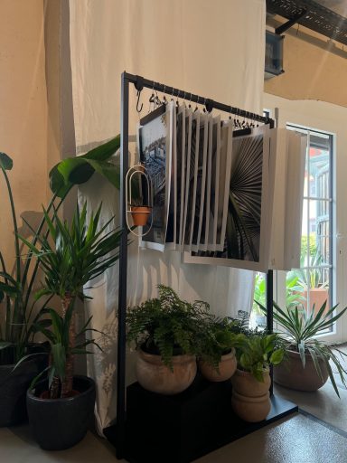 Wandbilder für Dein Zuhause